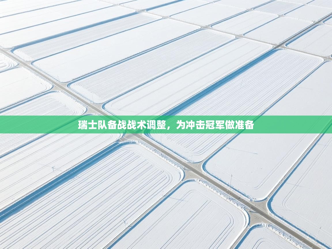 瑞士队备战战术调整，为冲击冠军做准备